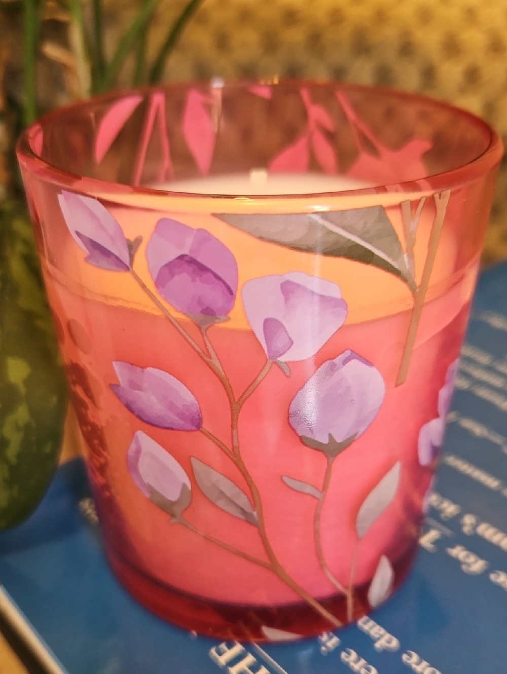 Simply Indulgent Soy Wax Candle in Glass Jar 7oz - Coral Hibiscus